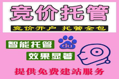 百度广告投放技巧与案例分享